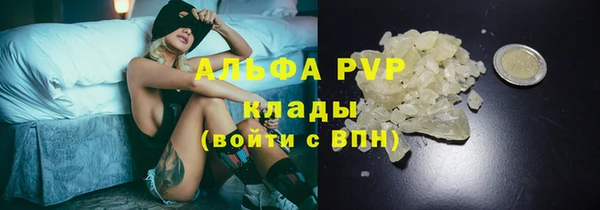 PSILOCYBIN Медногорск