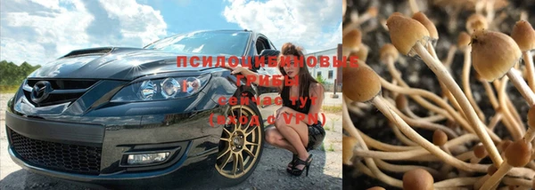 бошки Мегион