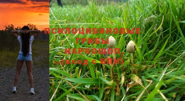 мяу мяу мука Магас