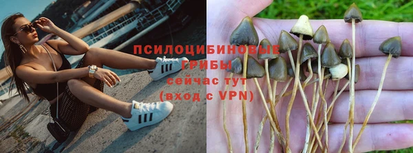 бошки Мегион