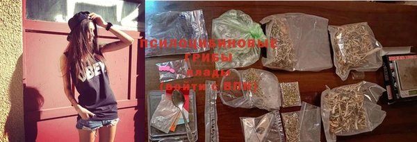 PSILOCYBIN Медногорск